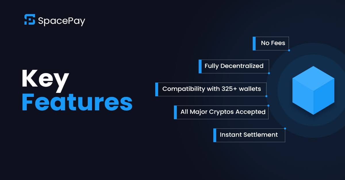 SpacePay(SPY)の鍵となる特徴