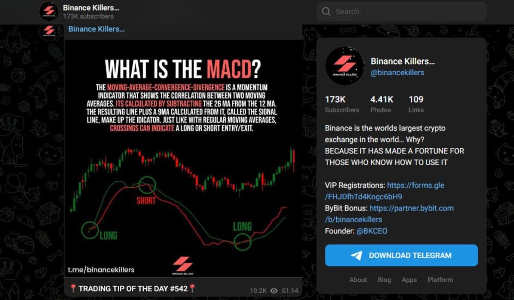 Binance Killers - テレグラム