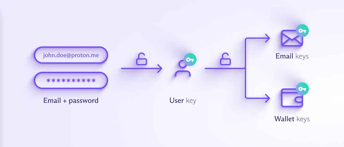 Proton Wallet インフォグラフィック