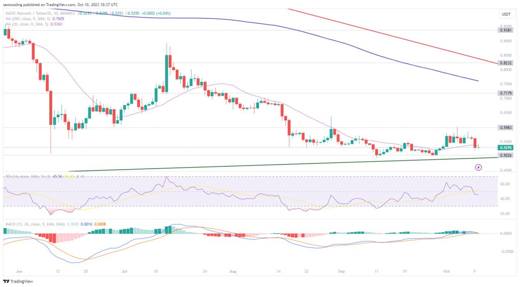 polygon koers grafiek