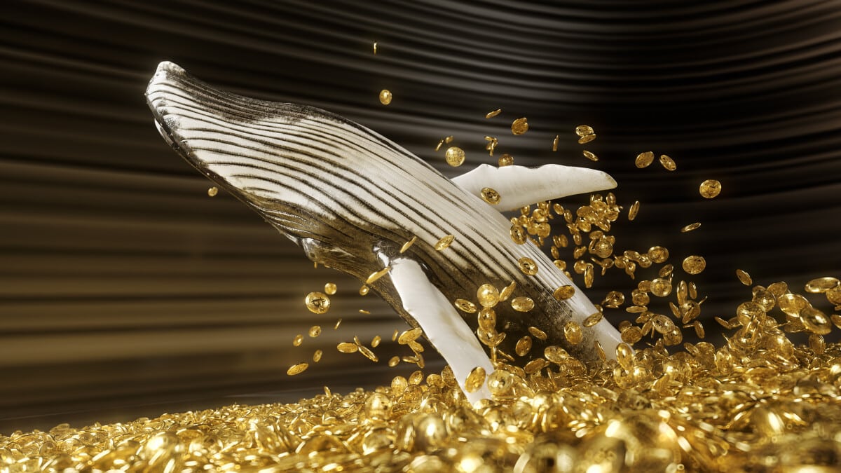 DOGE koers daalt ondanks verplaatsing miljarden tokens – kan Dogecoin veel waard worden in 2025?