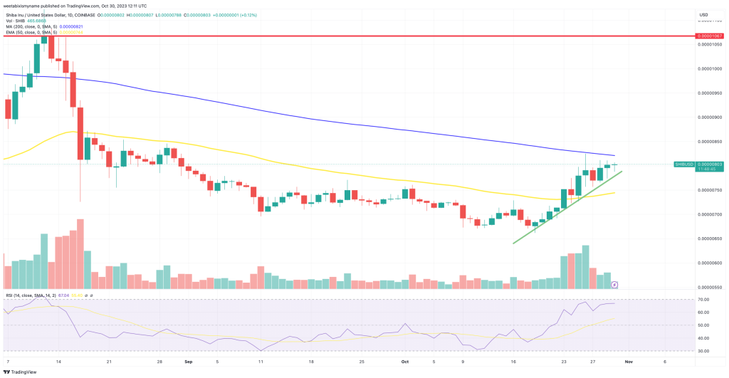 Shiba Inu koers analyse 30 oktober