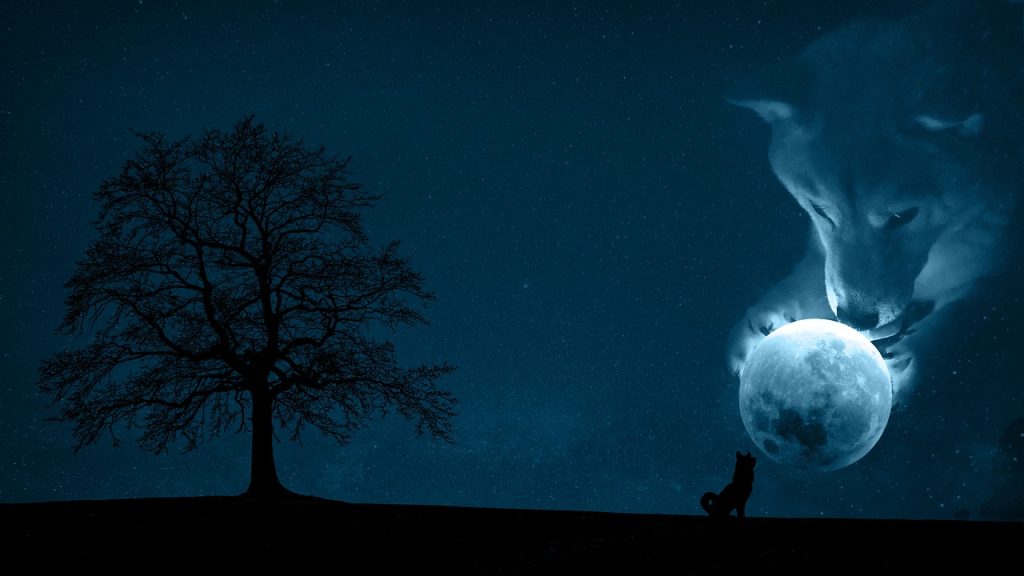 XDoge Koers Verwachting