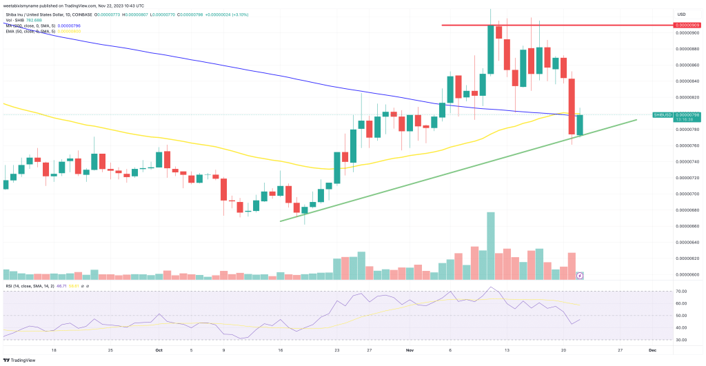 SHIB Koers Verwachting &ndash; Technische Analyse Toont Neerwaartse Trend Sinds Augustus 2022, Breakout Mogelijk?