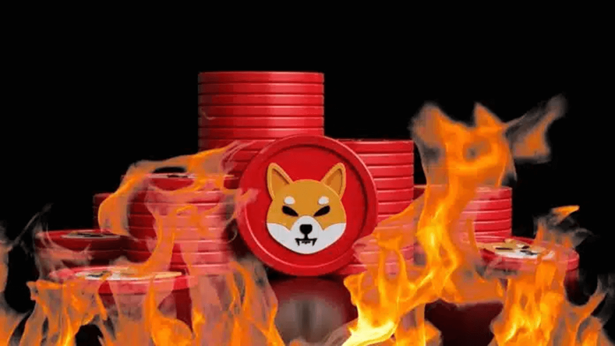 Shiba Inu vs Dogecoin