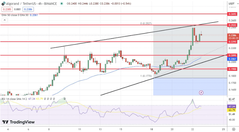 algo-koers-verwachting