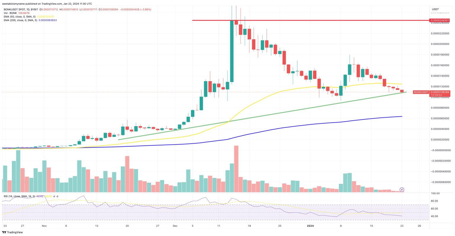 bonk koers verwachting