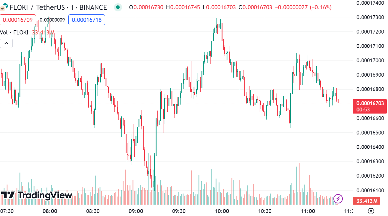 FLOKI Koers Verwachting