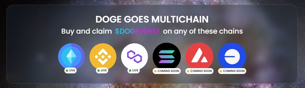 dogeverse multichain