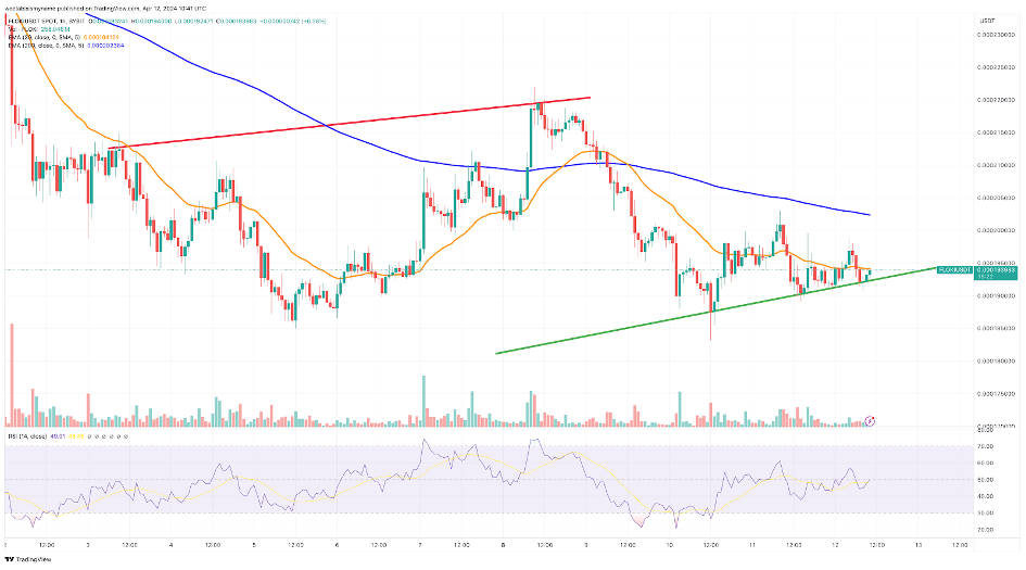 floki koers 12 april