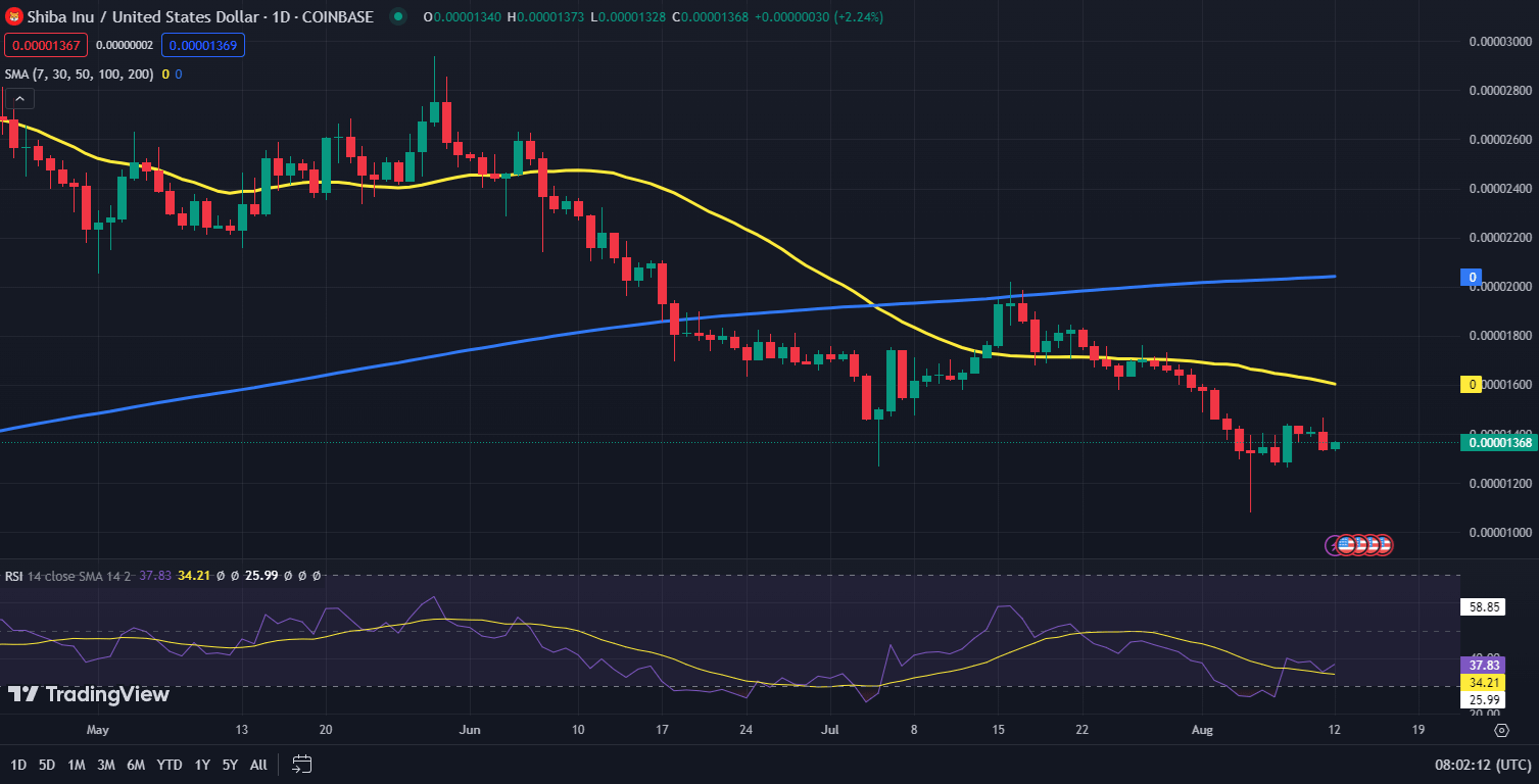 Shiba Inu koers grafiek