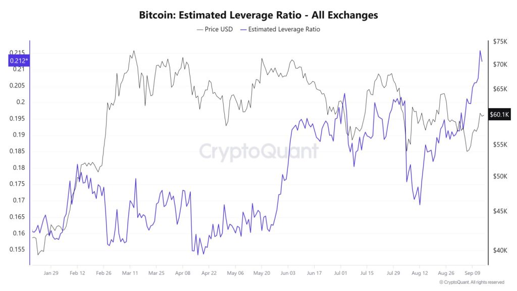 Estimated Leverage Ratio van Bitcoin