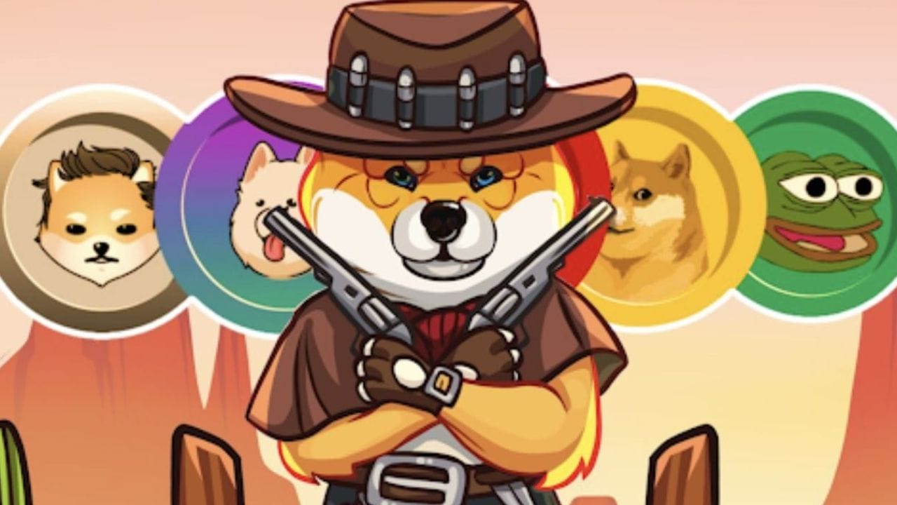 Shiba Shootout