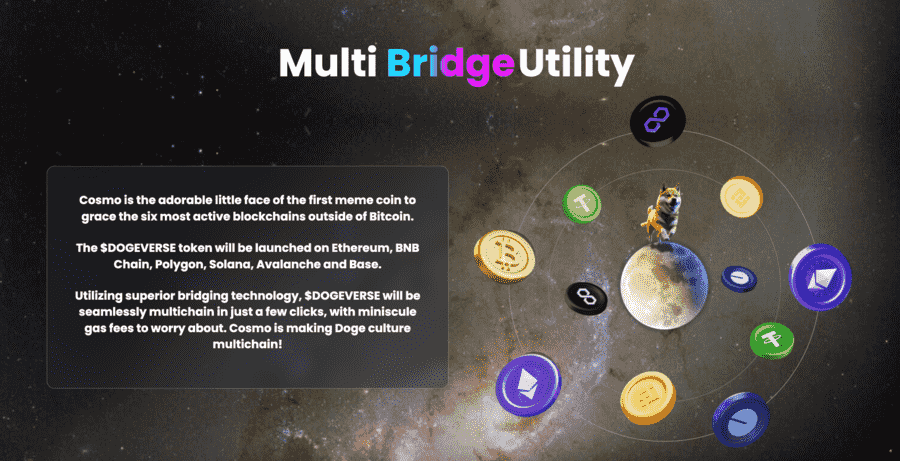 لقطة شاشة من موقع Dogeverse تشرح الوظيفية متعدّدة الشبكات