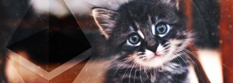 Millions of Dollars Worth of Cats are Still Infesting the Ethereum Network