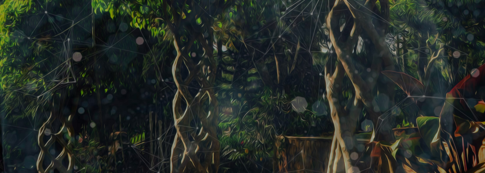 Hashgraph vs… Blockchain?