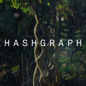 Hashgraph is a data structure and consensus algorithm that is fast, secure and fair.