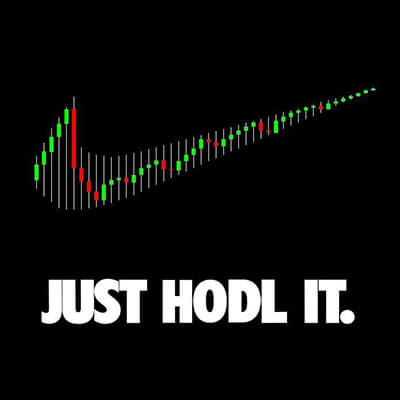 Just HODL It.