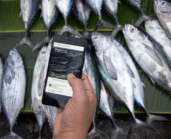 provenance-food-tracking