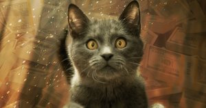 CryptoKitties Come of Age With $12 Million in Venture Funding