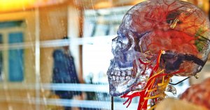 Disgraced Data Analytics Firm Cambridge Analytica Is Halting Its Plans for an ICO