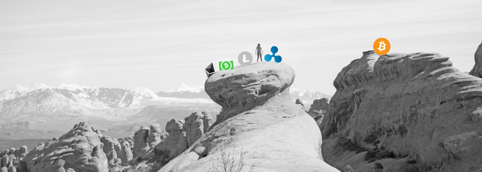 Crypto Price Watch: Bitcoin, Ethereum, Bitcoin Cash, Ripple and Litecoin Hold Their Ground