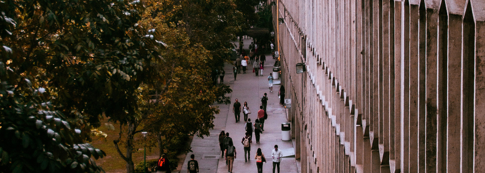 Crypto-Education Soaring High Thanks to Big-Name Universities Like Stanford, CMU and UW