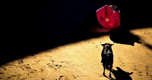 Related Story: Crypto Price Watch: Bitcoin, Ethereum, Ripple, Bitcoin Cash and Litecoin Exhibit Ongoing Bull Behavior