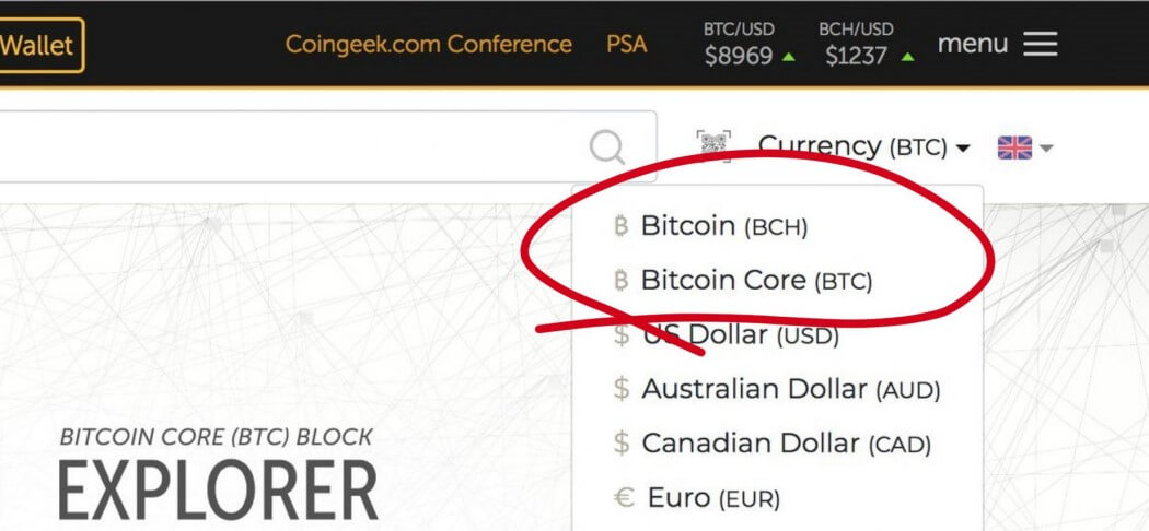 Before the lawsuit, BCH is referred to as Bitcoin on Bitcoin.com