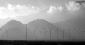 Stellar Joins Forces With IBM to Bring Carbon Credits to the Blockchain