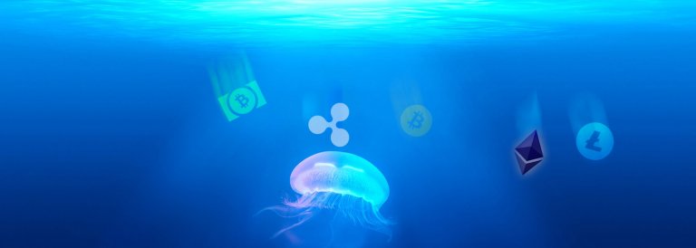 Price Watch: Bitcoin, Ethereum, Ripple, Bitcoin Cash and Litecoin Keep Sinking