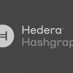 Hedera Hashgraph sacrifices decentralization for high throughput, says developer