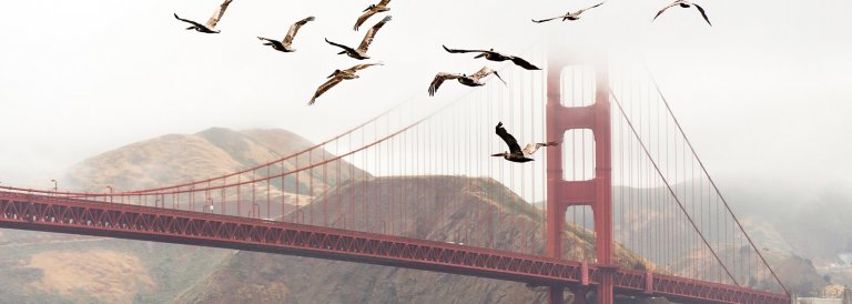 Coinbase Secures $20 Billion Hedge Fund and Plans to Offer Margin Financing for Institutional Investors