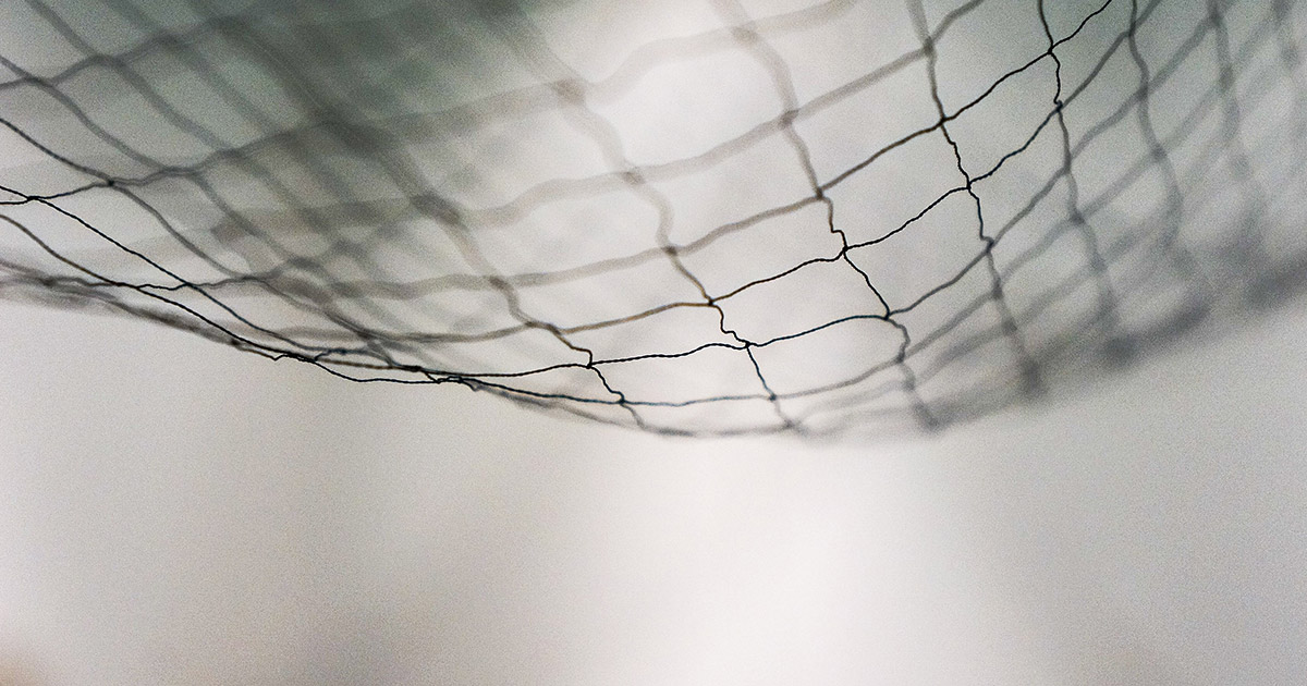 How to Avoid Getting Caught in a Phish-net of Scams