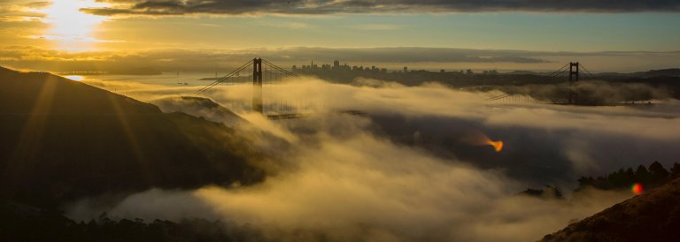 Bitcoin is Anti-Fragile, Skin in the Game