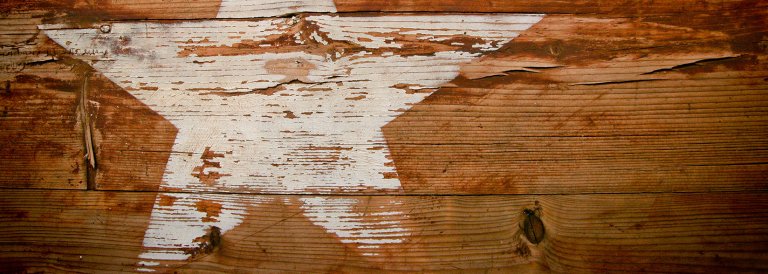 Texas Law Enforcer Who Took Down BitConnect: The Hunt for Crypto Cowboys in the Lone Star State [INTERVIEW]