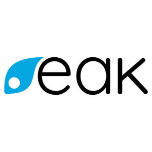 EAK Digital logo