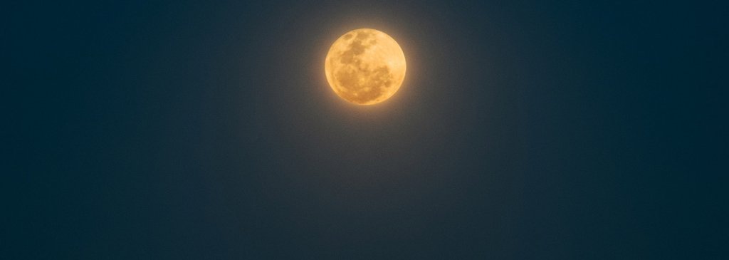Investigating Scam Allegations Around Apollo Currency