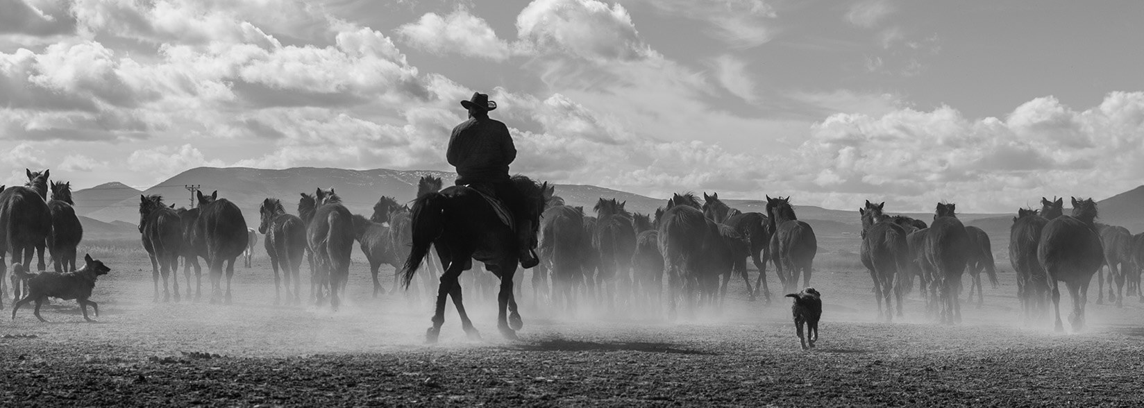 Meet the Crypto Cult, the Colorful Cast of Cryptocurrency’s Wild West