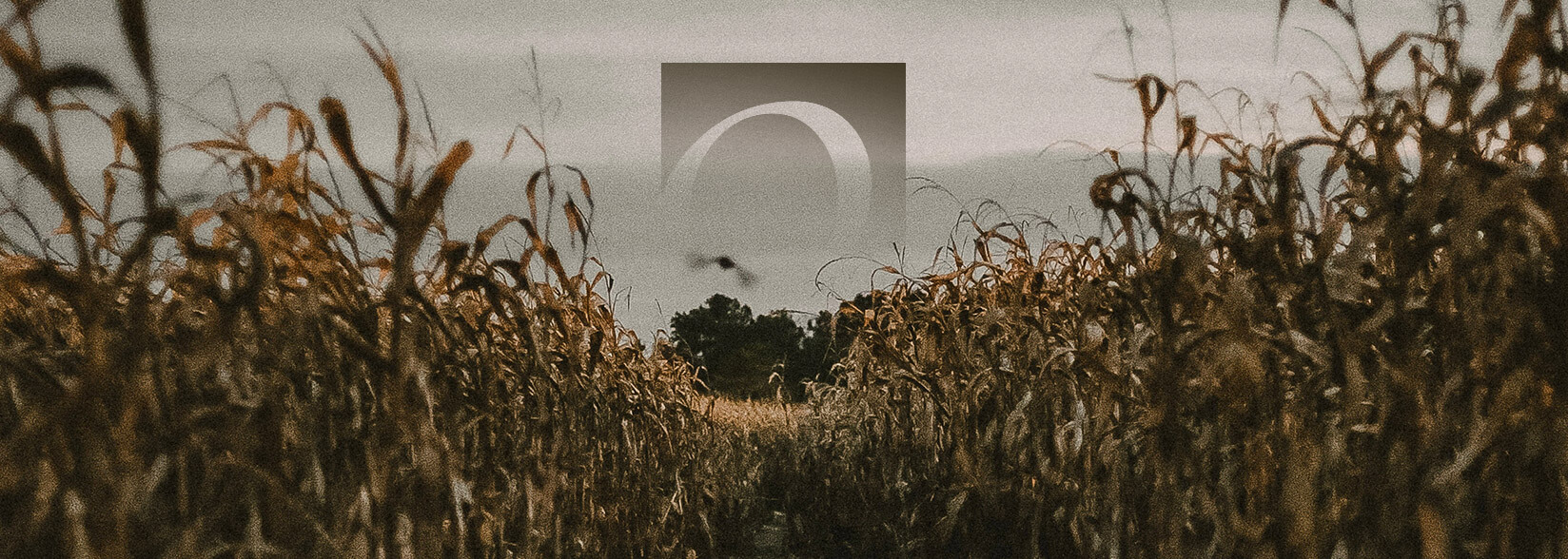 Overstock is Paying Ohio Taxes in Bitcoin