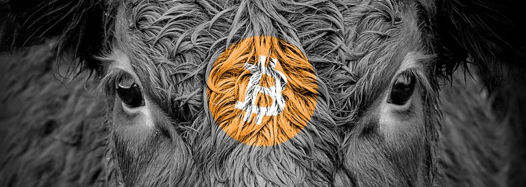 Bullish Bitcoin indicators converge, new yearly BTC highs within reach