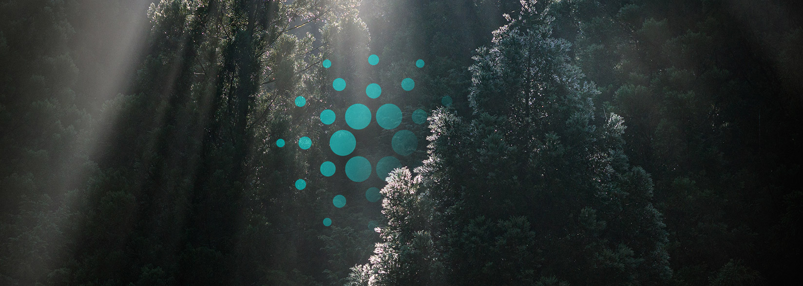 Cardano gains marketing momentum following internal restructuring