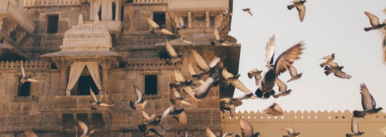 Crypto exchange exec says Bitcoin ban in India not final yet, is there any hope?