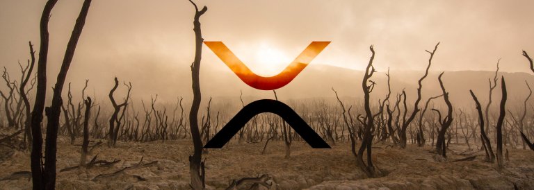 Former Ripple employee speaks out, XRP price doesn’t reflect xRapid use
