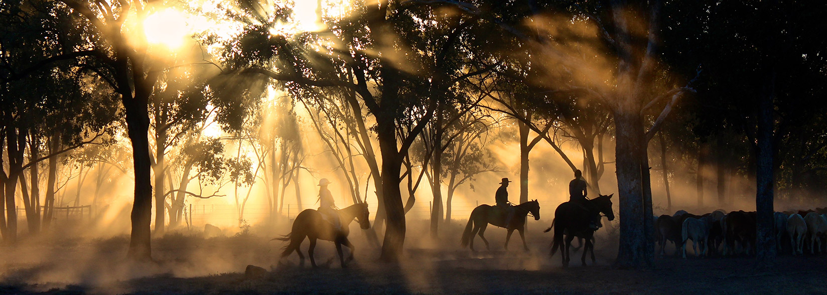 Cryptocurrency’s wild west is as wild as ever, but you can stay safe