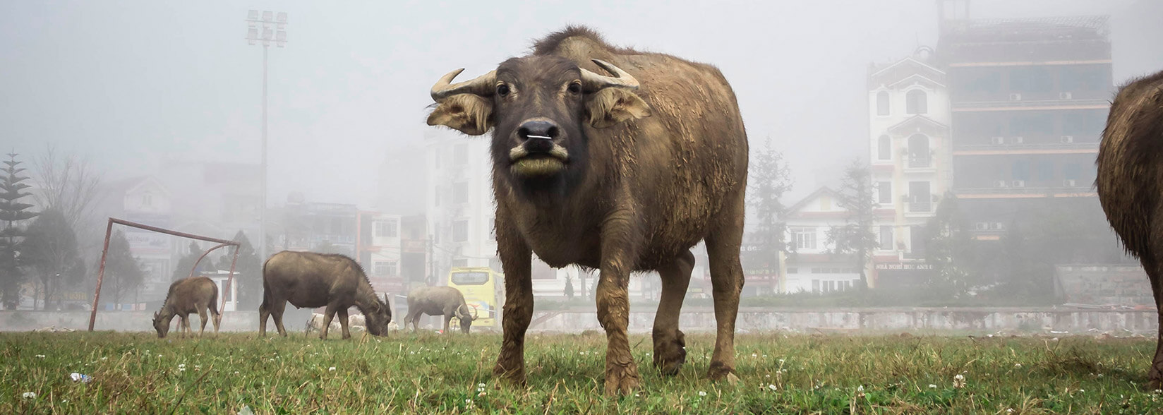 VC investor: 5 ‘insanely bullish’ reasons why Bitcoin will see big momentum