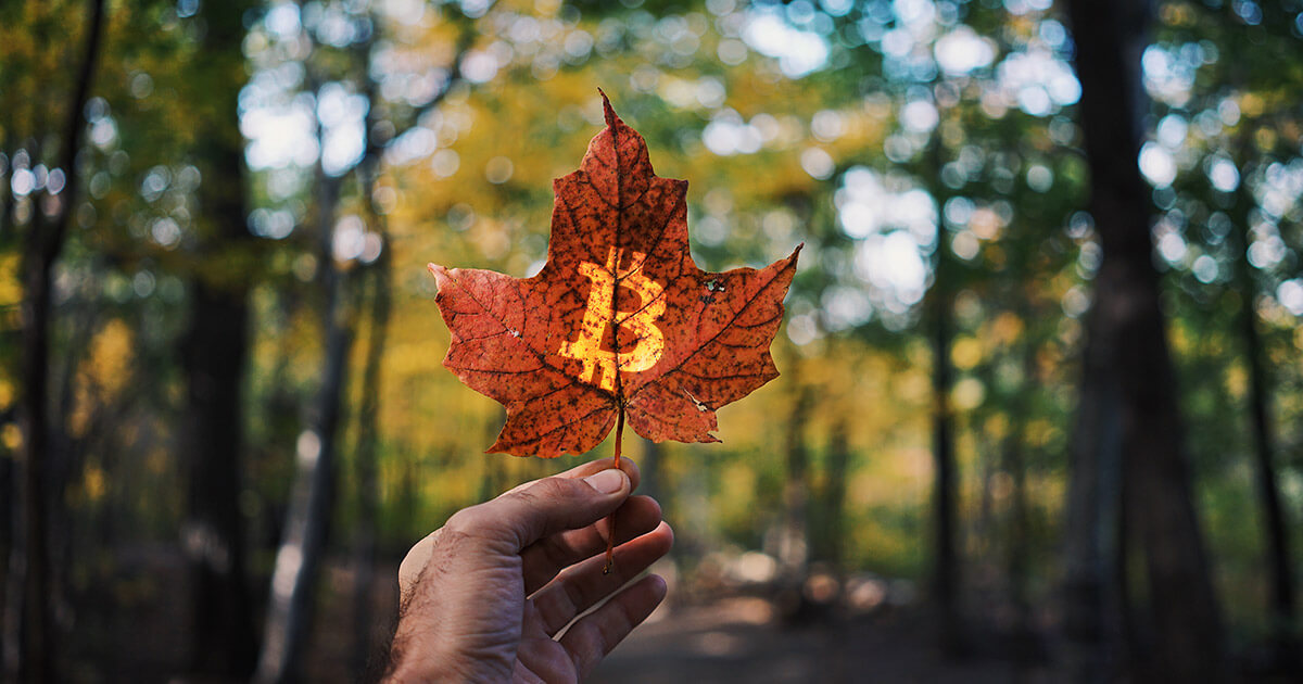 3iQ expects to launch Bitcoin ETF this quarter after “favorable” ruling from Canada’s top securities regulator