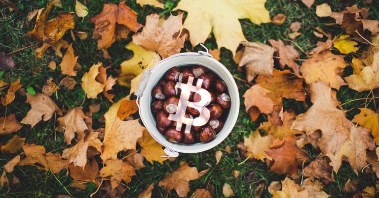 Key indicator shows its good time to accumulate as Bitcoin price touches $7800