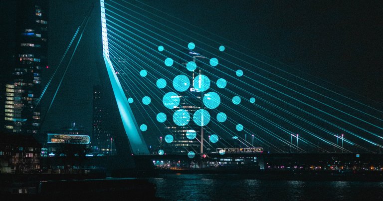 New faces at the Cardano foundation highlight the need for general strategy