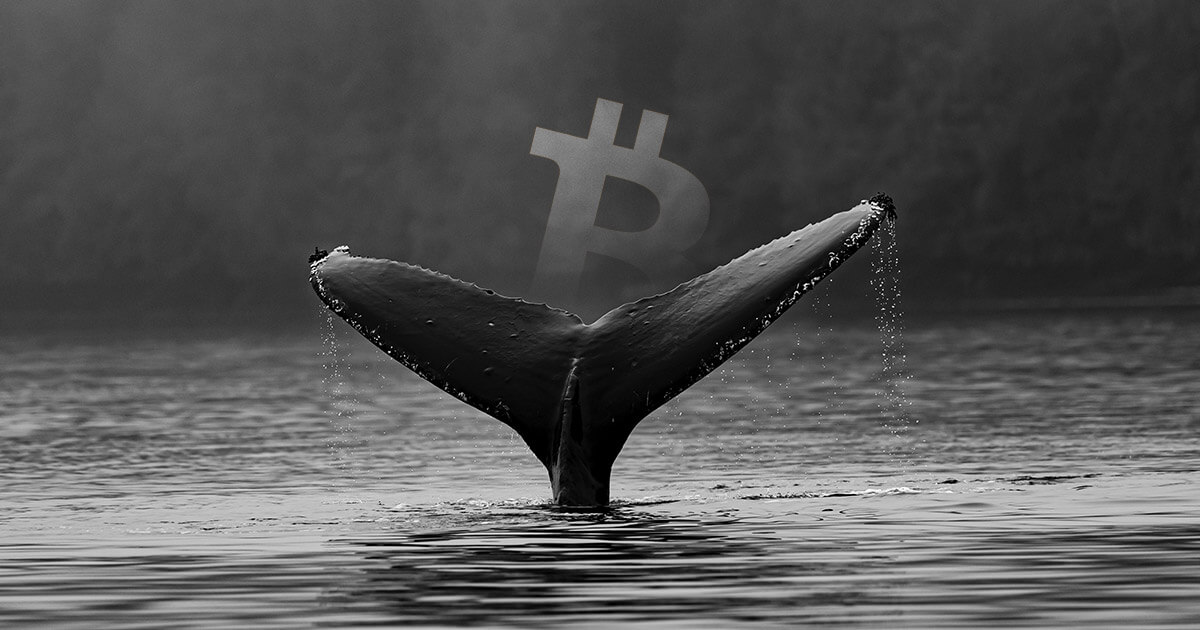 A big Bitfinex Bitcoin whale is anticipating a severe correction, will he be right?